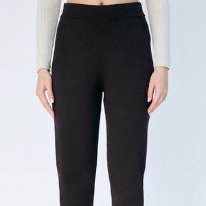 Aritzia The Group by Babaton Rodin Jogger